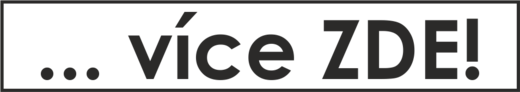 VICEK-logo2020.png